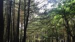 Berinteraksi dengan Fauna di Taman Safari Prigen