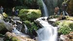 Berjumpa Dengan Katak Merah di Gunung Ciremai