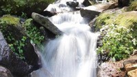Curug Cisurian berada di lembah Blok Ipukan, butuh trekking sekitar 10 menit untuk tiba di curug cantik ini