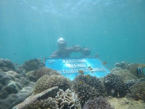 Berjumpa Ikan Nemo di Probolinggo
