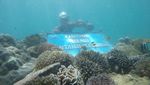Berjumpa Ikan Nemo di Probolinggo