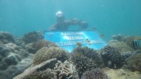 Nemo Park Gili Ketapang
