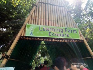Berkebun dan Beternak Tak Pernah Seasyik Ini