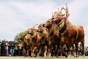 Berkelana di Tanah Madura