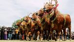 Berkelana di Tanah Madura