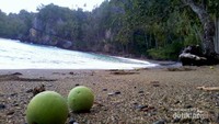 Dilingkup bukit batu