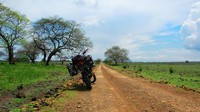Africa van Java di Taman Nasional Baluran.jpg