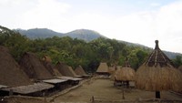 Ngadhu yang berada di depan rumah adat