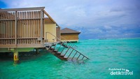 water Resort - Back