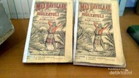 Karya Sastra Multatuli  berjudul Max Havelaar