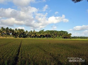 Berkunjung ke Pangandaran, Coba Serunya Body Rafting di Citumang