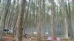 Berkunjung ke Suaka Elang di Bogor yang Jarang Orang Tahu