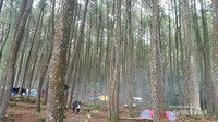 Bumi Perkemahan