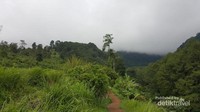 Jalan Menuju Suaka Elang