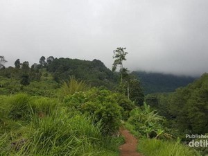 Berkunjung ke Suaka Elang di Bogor yang Jarang Orang Tahu