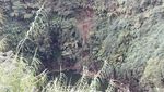 Berkunjung ke Sumur Tua Raksasa di Dieng