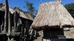 Berkunjung ke Zaman Batu di Kampung Bena