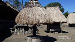 Berkunjung ke Zaman Batu di Kampung Bena