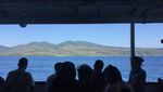 Berlayar ke Tanah Timor