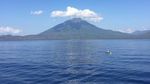 Berlayar ke Tanah Timor