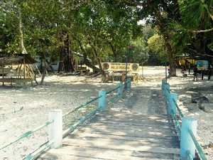 Berlayar Menuju Rumah Badak Bercula Satu