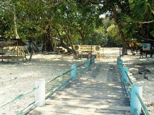 Berlayar Menuju Rumah Badak Bercula Satu