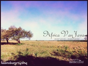 Berlibur ke Afrika di Situbondo, Jawa Timur