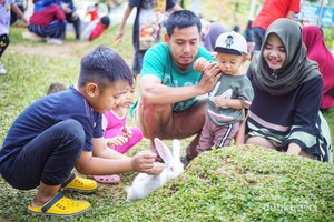 Bermain Bersama Kelinci di Lereng Gunung Lawu
