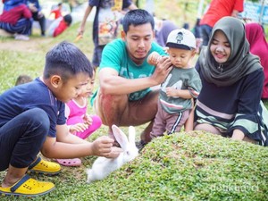 Bermain Bersama Kelinci di Lereng Gunung Lawu