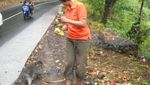 Bermain Bersama Monyet Liar di Hutan Pusuk Lombok