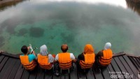 Pulau kakaban