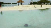 Pantai yang dangkal, anak anakpun aman bermain