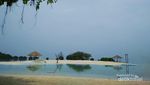 Bermain dengan Bintang Laut di Pulau Pari