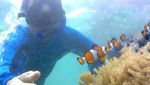 Bermain Dengan Ikan Badut di Pulau Tikus