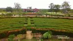 Bermain Sambil Belajar di Kebun Raya Banua