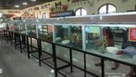 Bermain Sambil Belajar di Sanggaluri Park