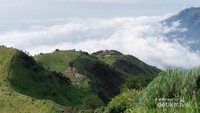 hamparan sabana terlihat dari puncak taman national gunung merbabu