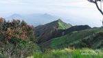 Bermodal Rp 200 Ribu, Bisa Lihat Gunung Sekece Ini