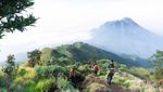 Bermodal Rp 200 Ribu, Bisa Lihat Gunung Sekece Ini
