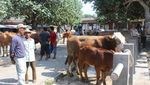 Bernostalgia di Pasar Legi Klaten, Unik!