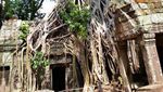 Berpetualang ala Tomb Raider di Kamboja