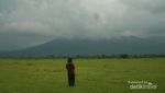 Berpetualang ke Afrika van Java, Kawah Ijen & Kampung Inggris