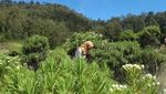 Berpetualang Menuju Puncak Gunung Butak
