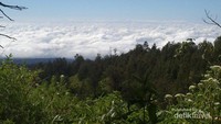 Indahnya pemandangan