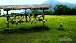 Bersafari Nggak Usah ke Afrika, ke Baluran Saja!