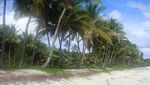 Bersantai di Pantai Pribadi Pasir Panjang Wakatobi