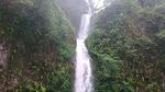 Berselimut Kabut di Malino