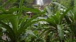 Berselimut Kabut di Malino