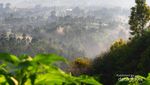 Berselimut Kabut di Tebing Keraton