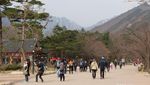 Bersorak Ria di Gunung Seorak, Korea Selatan